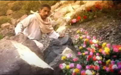 “La señal de las Flores y su significado profundo”