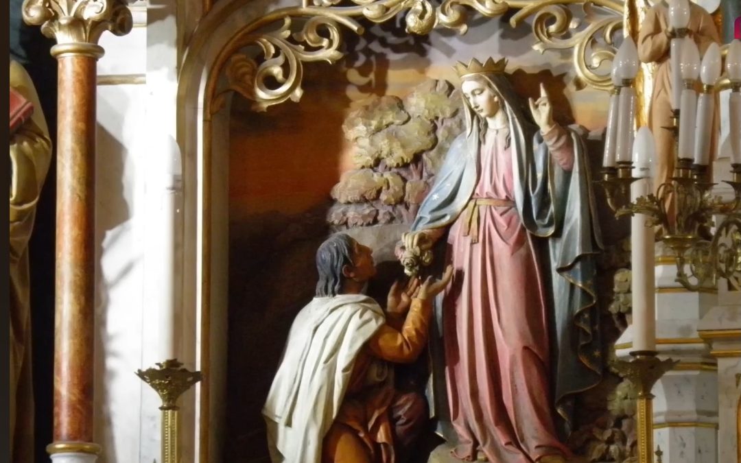 Investigaciones jurídicas de 1666: Un origen inesperado en la causa Guadalupana